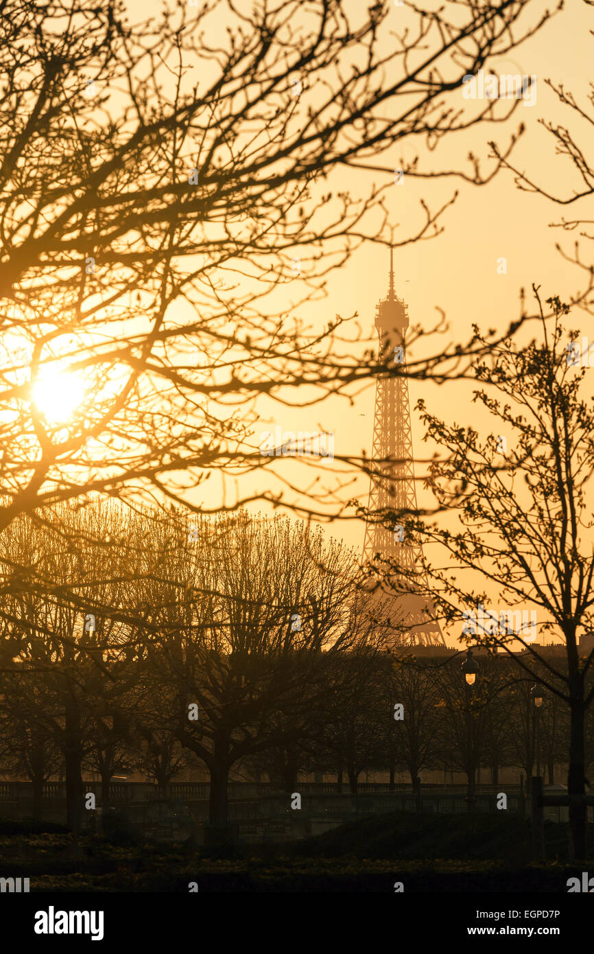 Évoquant une vue sur la Tour Eiffel par l'intermédiaire de succursales au coucher du soleil Banque D'Images