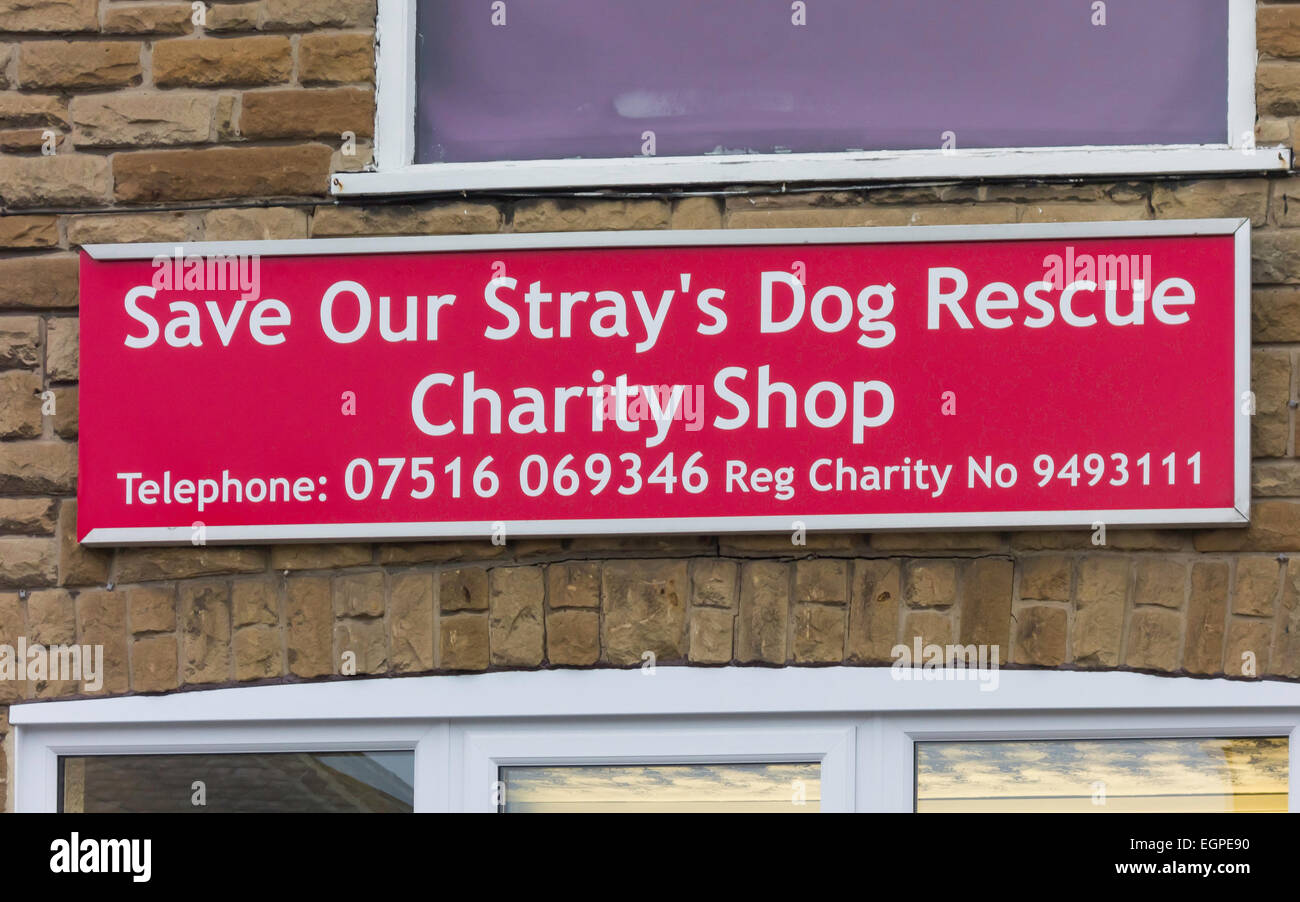 La boutique sign pour un petit organisme de bienfaisance local sauver notre Sauvetage du chien errant Banque D'Images