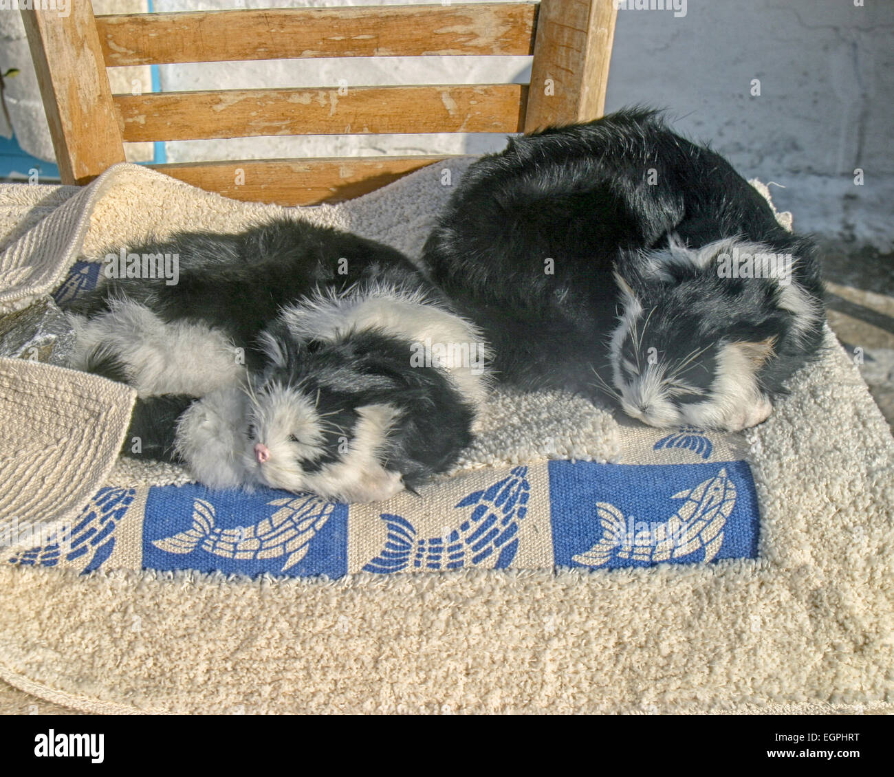 Chora, Mykonos, Grèce. 3e oct, 2004. Deux chats dormir sur une chaise au soleil à Chora, Mykonos. Un touriste favori, Mykonos attire un grand nombre chaque année et le tourisme est une industrie majeure. © Arnold Drapkin/ZUMA/Alamy Fil Live News Banque D'Images