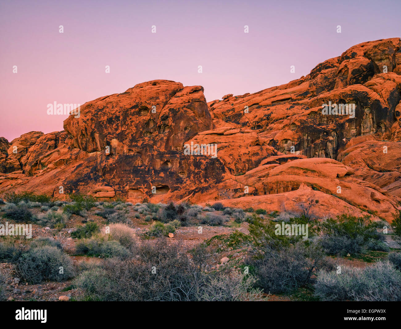 Des formations de roche rouge dans la Vallée de Feu State Park, Nevada, USA, au cours de l'heure bleue après le coucher du soleil, série. Banque D'Images