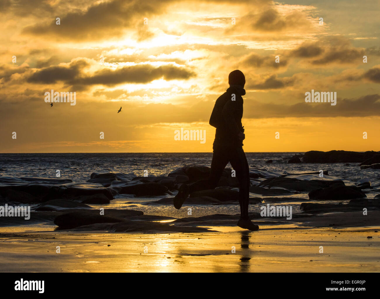 L'homme en marche, jogging sur la plage au lever du soleil. UK Banque D'Images