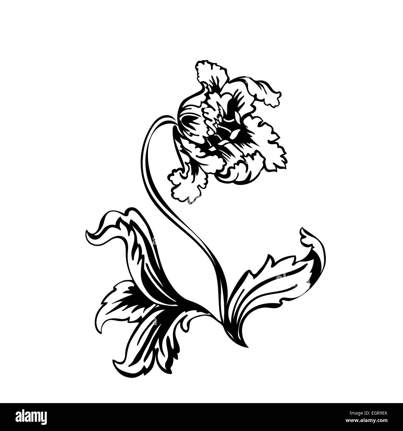 Fleur tulipe. Contour noir sur fond blanc, vector illustration Banque D'Images