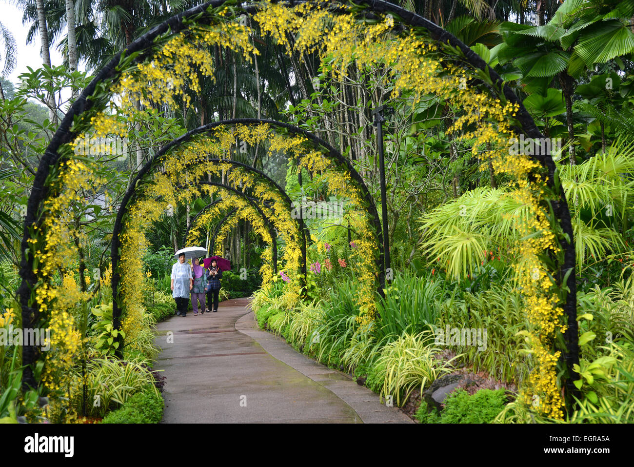 Jardins botaniques de Singapour, Singapour Banque D'Images