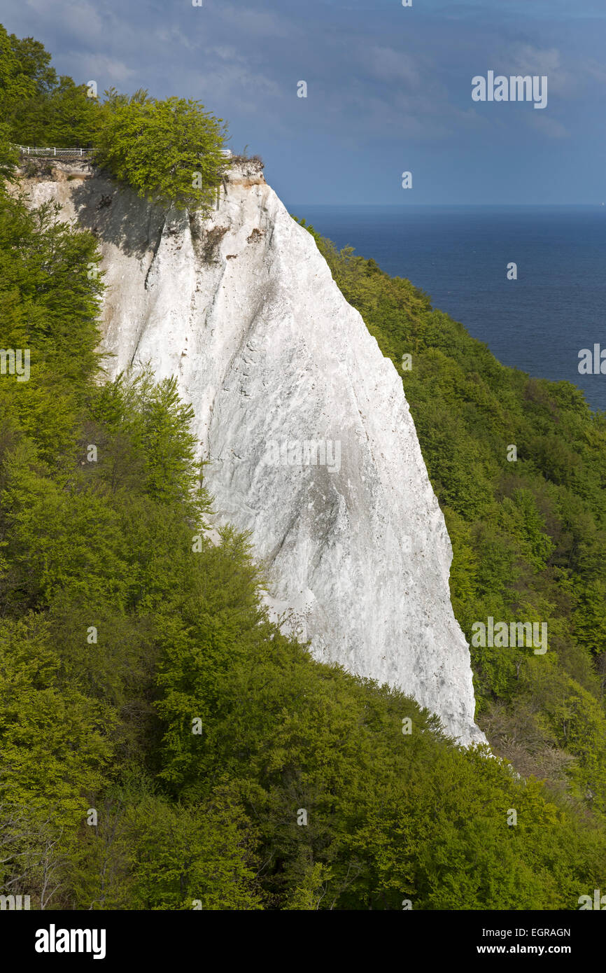 Königsstuhl, Président du Roi, falaises de craie à l'automne, le Parc National de Jasmund, Rügen, Mecklembourg-Poméranie-Occidentale, Allemagne, Europe Banque D'Images