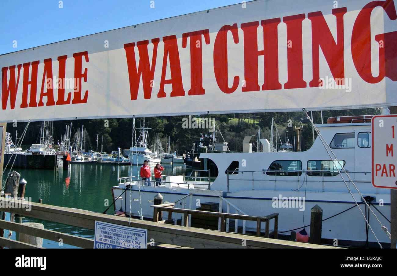 Wale watching excursions en bateau à quai au port de Fort Bragg, Californie Banque D'Images