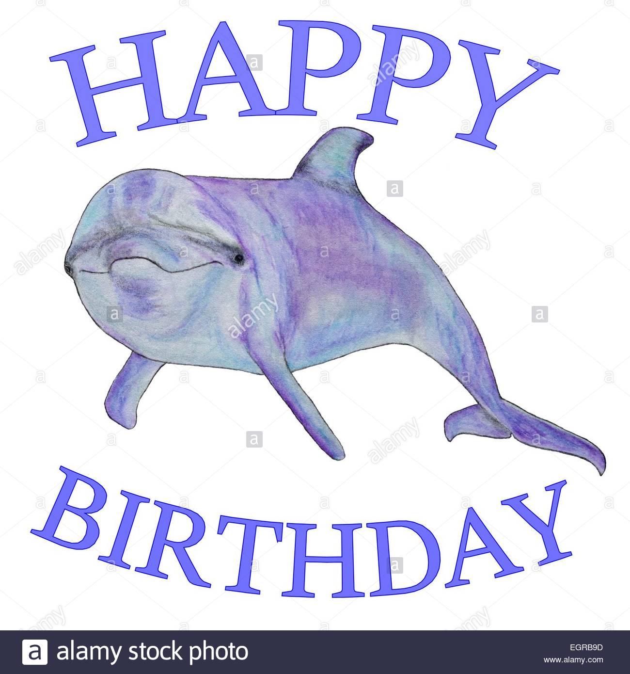 Happy Birthday Dolphin Banque D Image Et Photos Alamy Happy Birthday Dolphin Banque D Image Et Photos Alamy