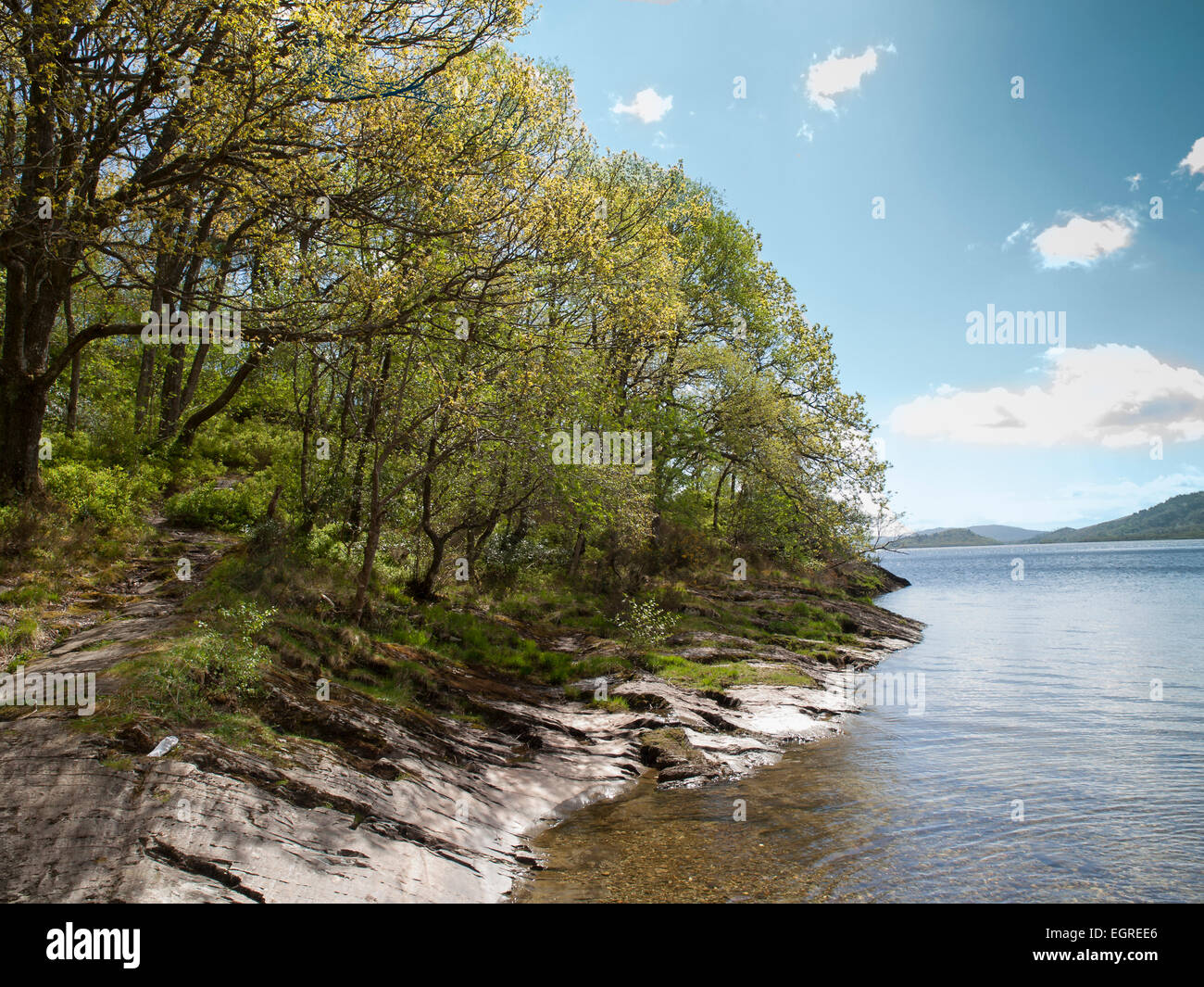 Loch Lomond Ecosse Royaume-uni printemps Banque D'Images