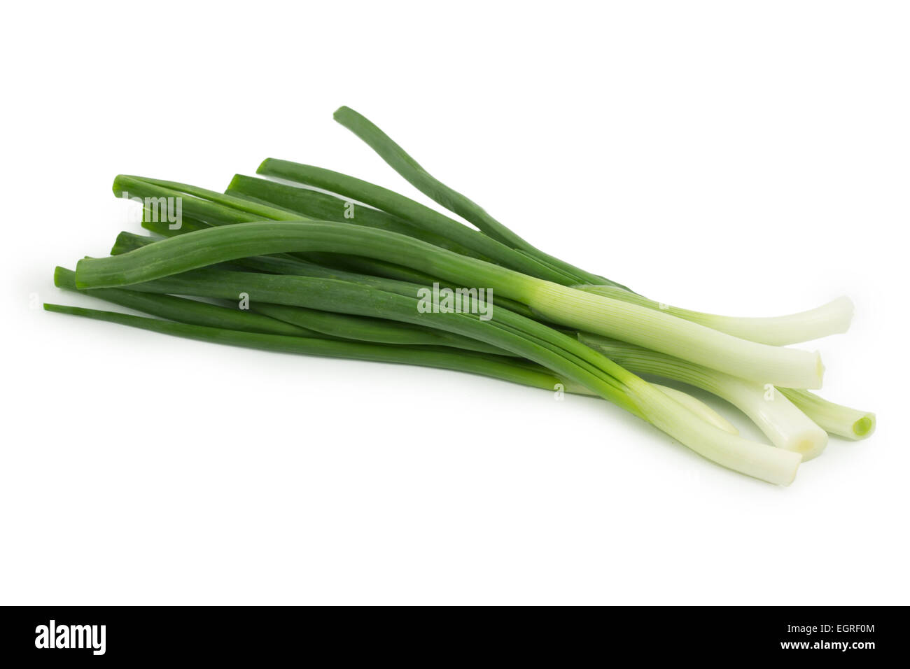 Oignon de printemps sur un fond blanc Banque D'Images