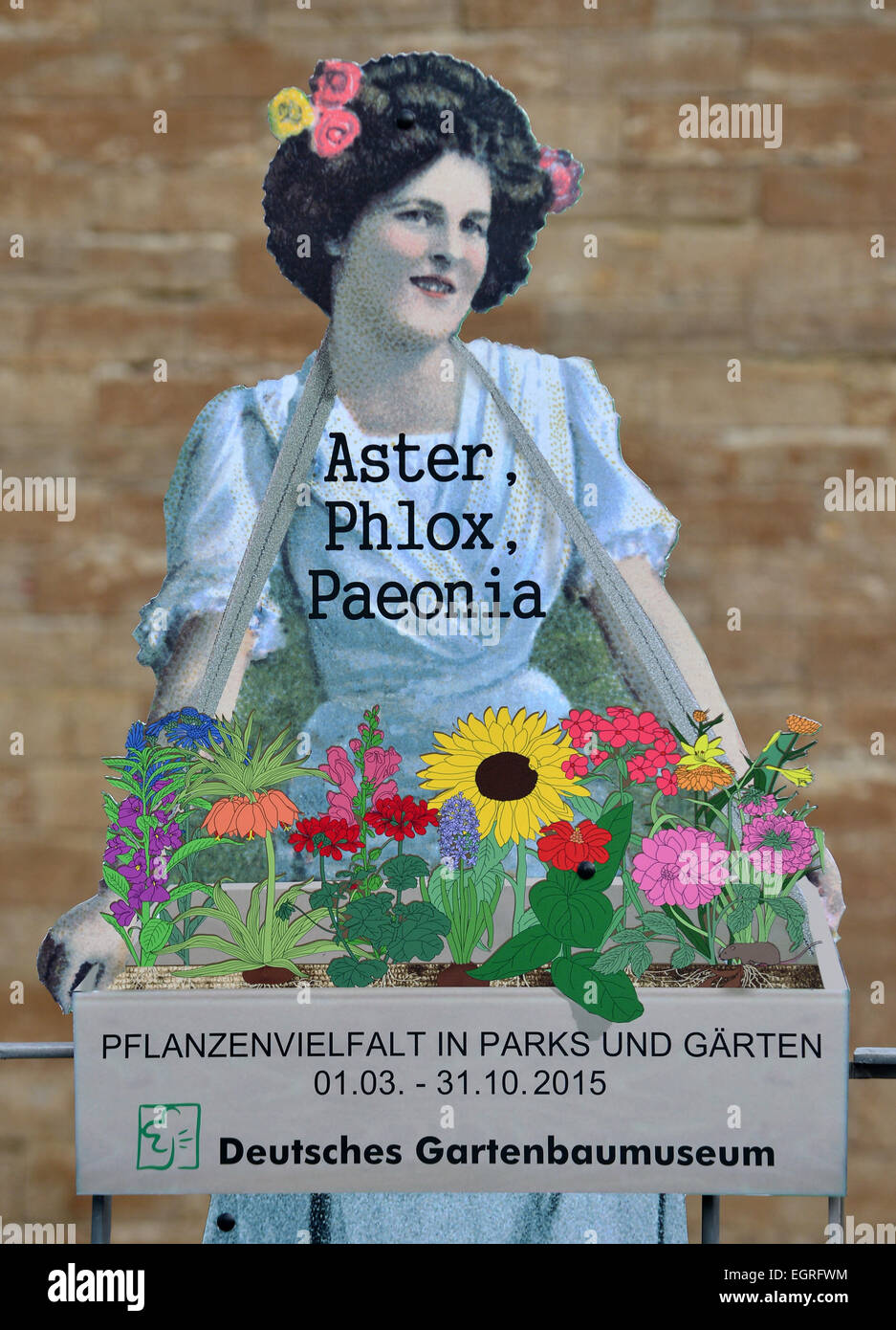 L'exposition spéciale "Aster, Phlox, Paeonia - diversité végétale dans les jardins et parcs, est annoncé en avant du Musée allemand de l'horticulture à Erfurt, Allemagne, 27 février 2015. L'exposition a lieu du 01 mars au 31 octobre 2015. Photo : Martin Schutt/dpa Banque D'Images