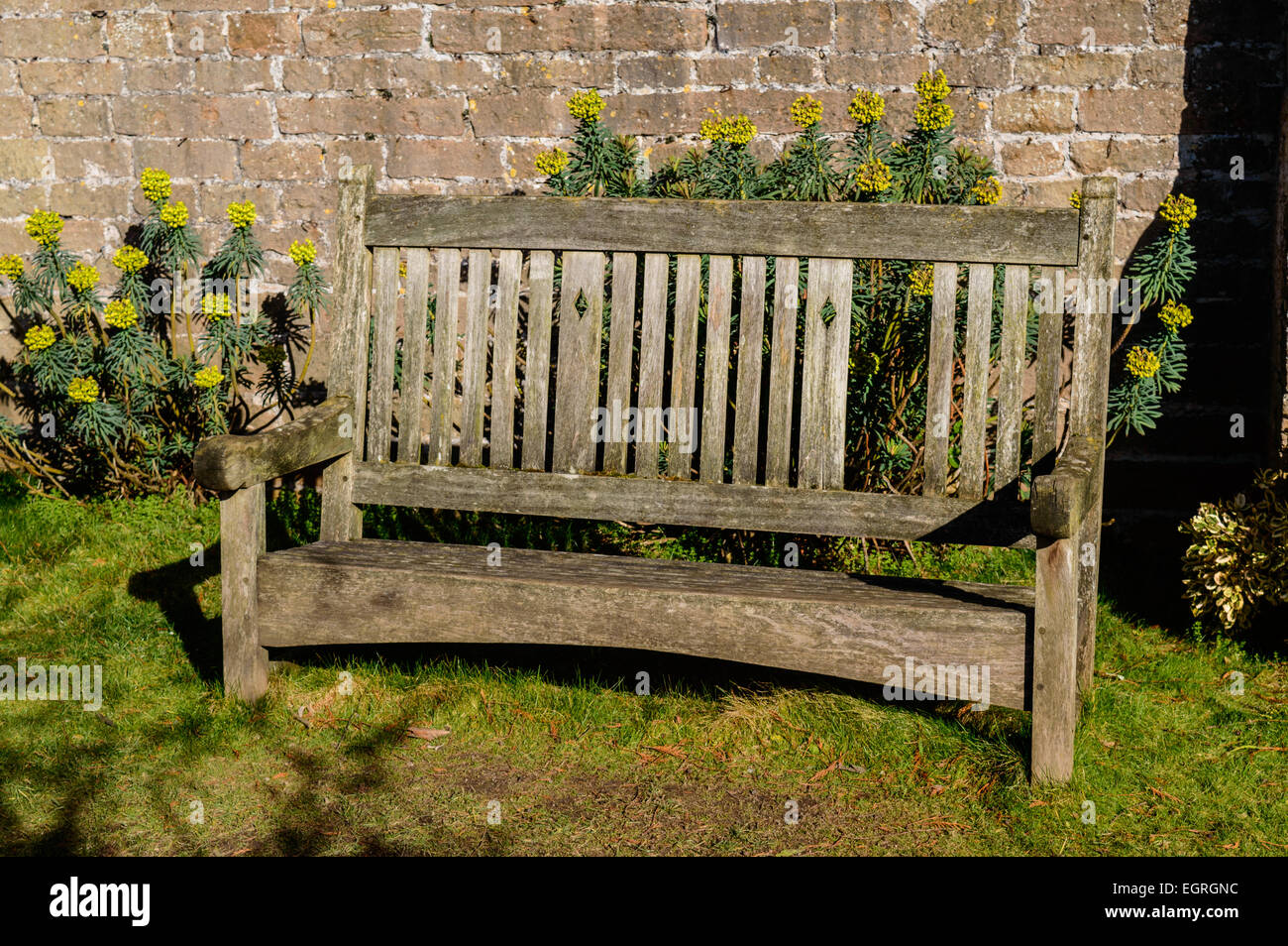 Un banc dans la roseraie à Newstead Abbey, Nottinghamshire, Angleterre. Au 1er mars 2015. Banque D'Images