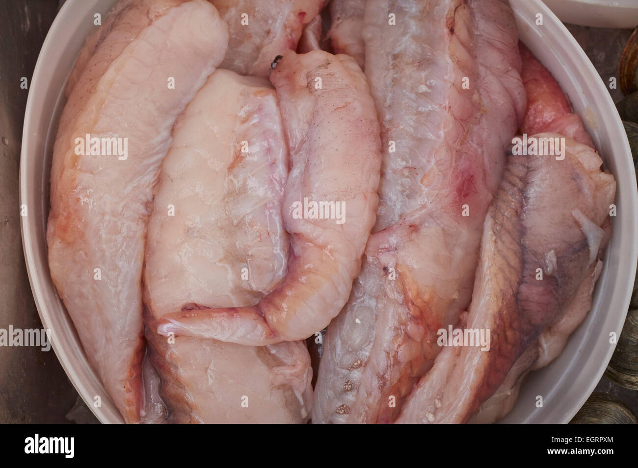 Filets de lotte à la Brooklyn, NY farmer's market Banque D'Images