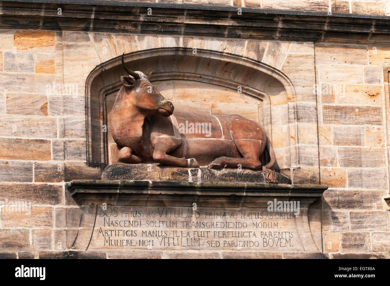 Statue d'une vache dans la façade de l'édifice de l'abattoir, appartenant maintenant à l'université. Banque D'Images