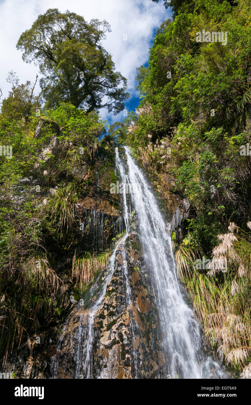 Diana Falls, Mount Aspiring National Park sur le Haast Pass, dans les Alpes du Sud, côte ouest, île du Sud, Nouvelle-Zélande Banque D'Images