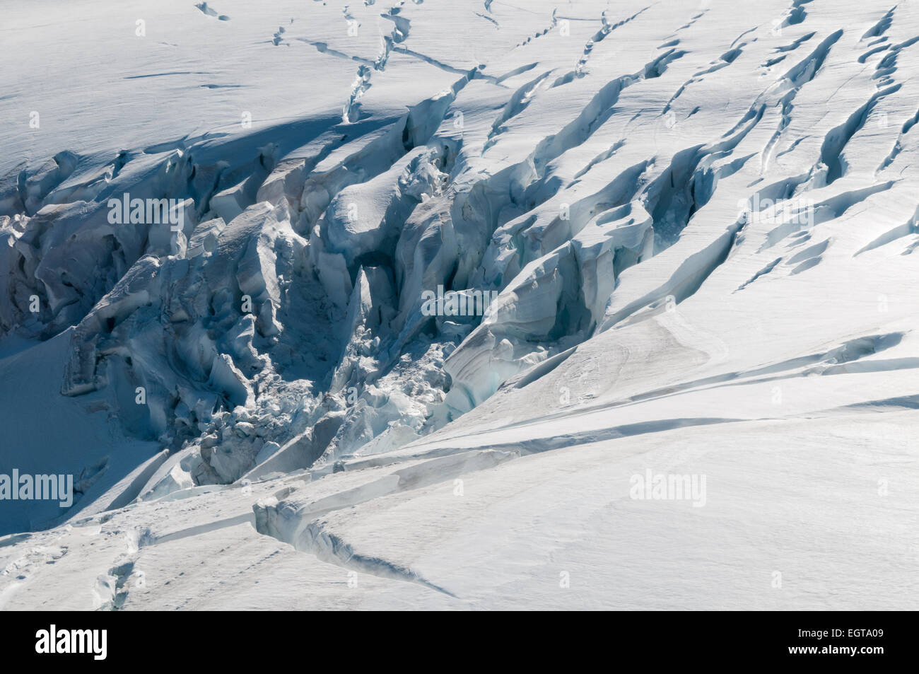 Franz Josef Glacier, Alpes du Sud, côte ouest, île du Sud, Nouvelle-Zélande. Banque D'Images