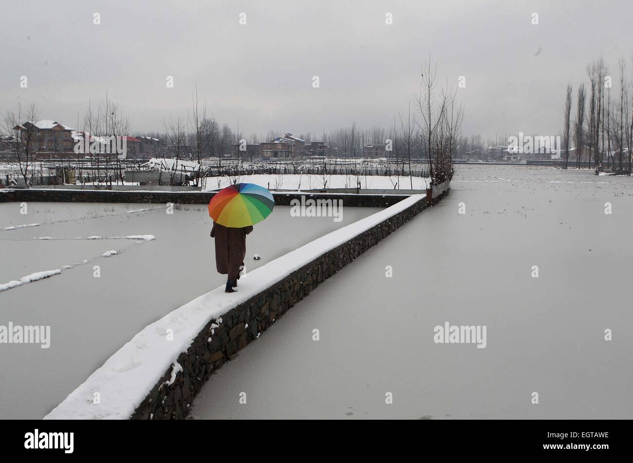 Srinagar, au Cachemire. 2 mars, 2015. Un homme du Cachemire est titulaire d'un parapluie qu'il marche sur un chemin couvert de neige Neige pendant à la périphérie de Srinagar, capitale d'été du Cachemire sous contrôle indien, le 2 mars 2015. Neige dans le cours supérieur et plaines d'Affaires indiennes au Cachemire sous contrôle de l'air affecté le lundi, les services ferroviaires et fermé Srinagar-Jammu autoroute nationale, la seule route qui relie la région du Cachemire avec l'Inde. Source : Xinhua/Alamy Live News Banque D'Images