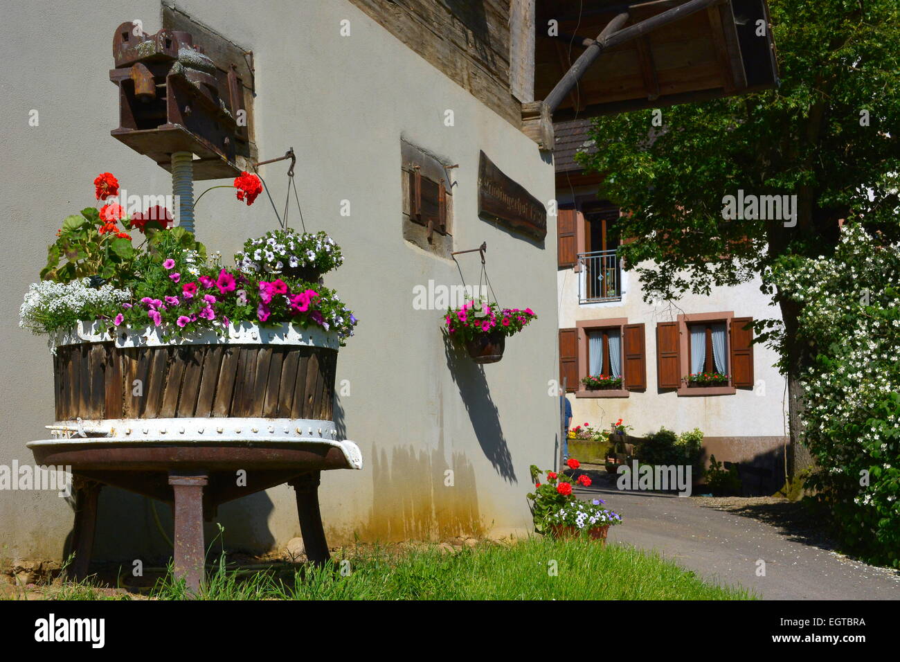 Schwarzwald, Bade-Wurtemberg, Glottertal, Hochschwarzwald, alte Weinpresse mit Blumen, Banque D'Images