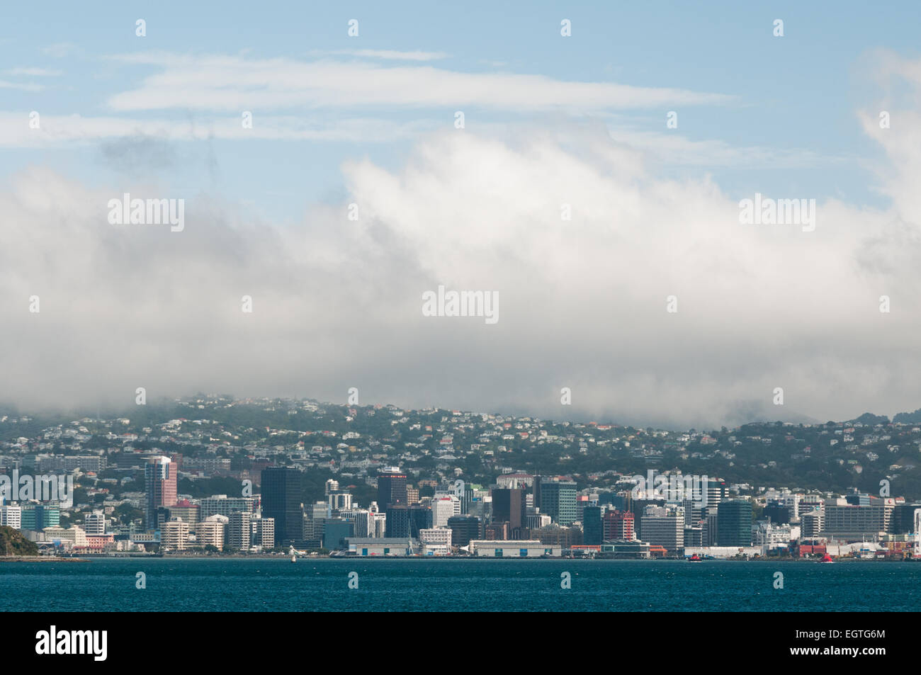 Port de Wellington, Île du Nord, Nouvelle-Zélande. Banque D'Images