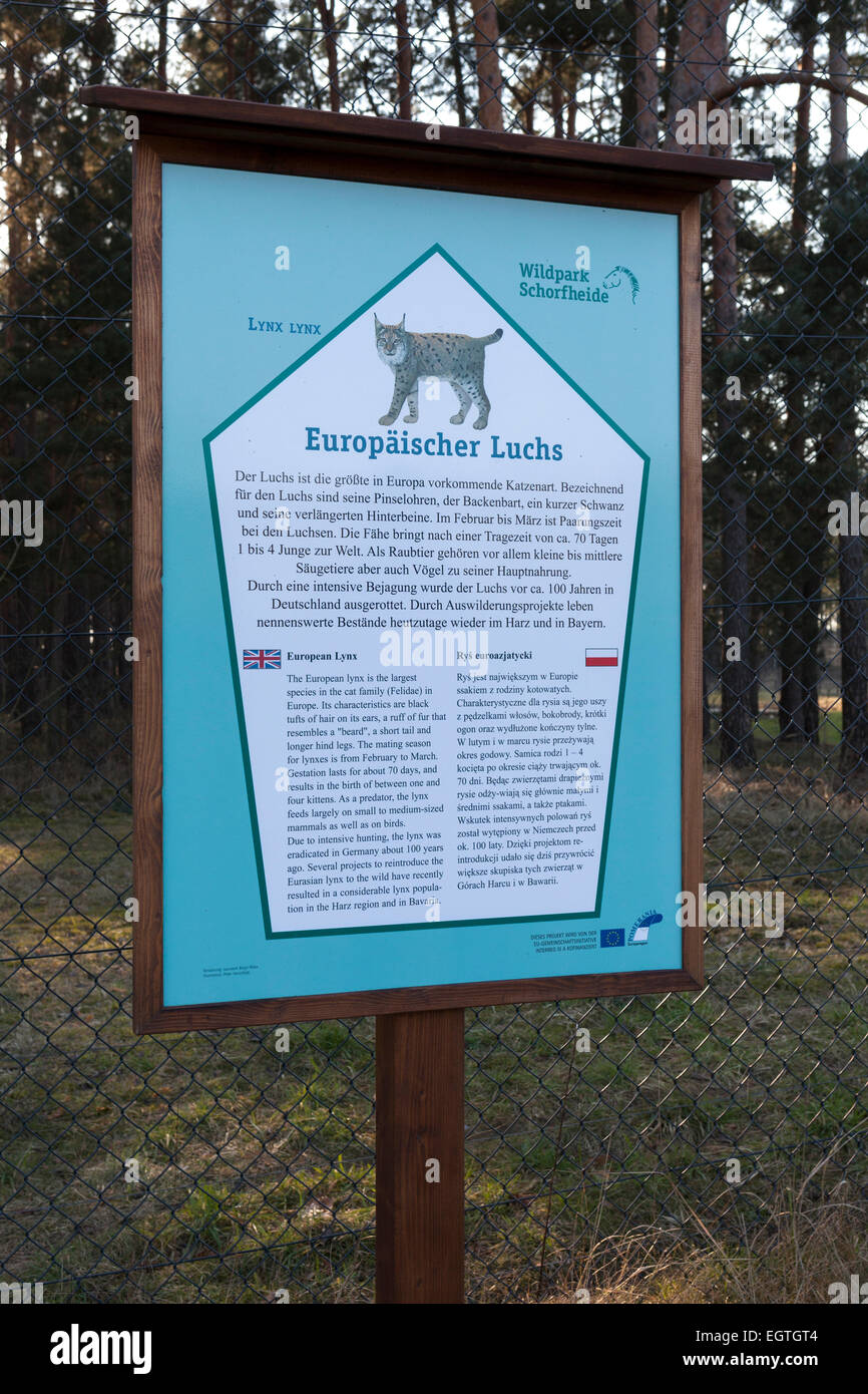 Allemagne, Schorfheide Réserve de parc Schorfheide, Information Board, Lynx, Europäischer Luchs Banque D'Images