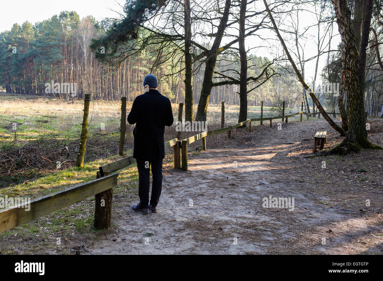 Allemagne, Schorfheide Réserve de parc Schorfheide, homme marchant dans le parc pour les animaux sauvages menacés d'extinction Banque D'Images