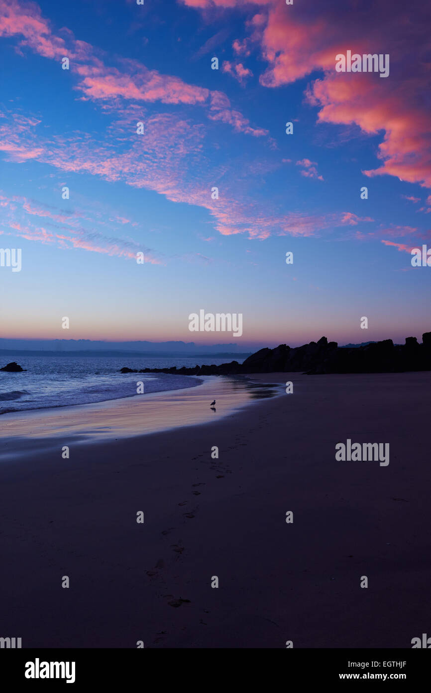 Nuages rose au lever du soleil sur Porthgwidden beach et baie de St Ives Cornwall England Europe Banque D'Images