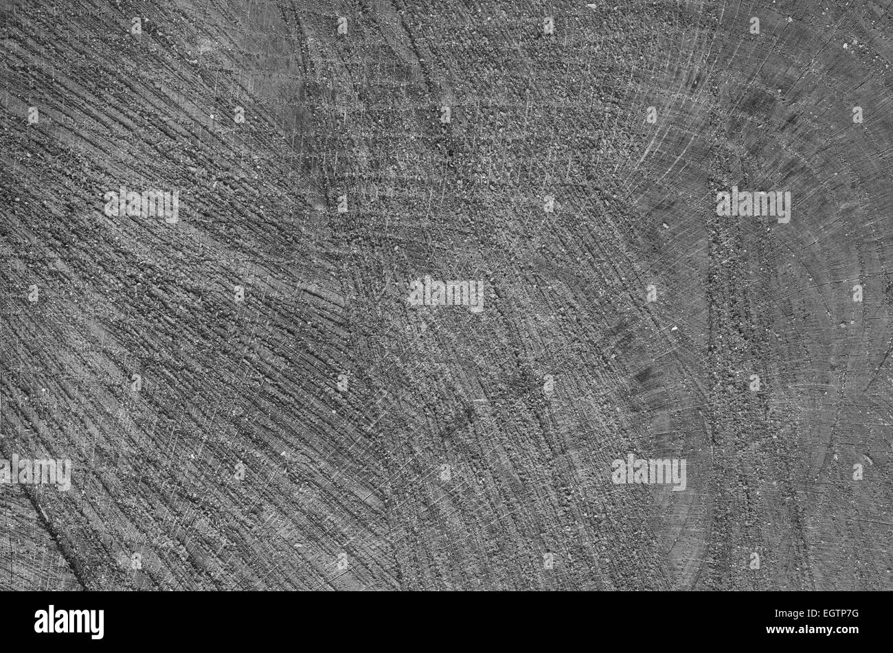 Tronc d'arbre coupé texture de fond en bois Banque D'Images