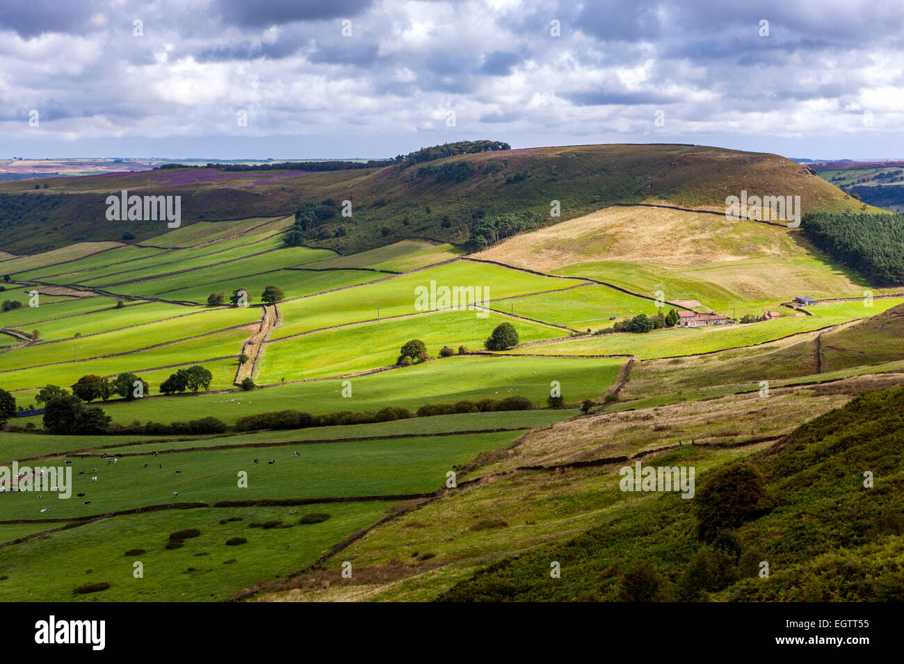 Vue sur Fryup Dale près de Danby, North York Moors National Park, North Yorkshire, Angleterre, Royaume-Uni, Europe. Banque D'Images