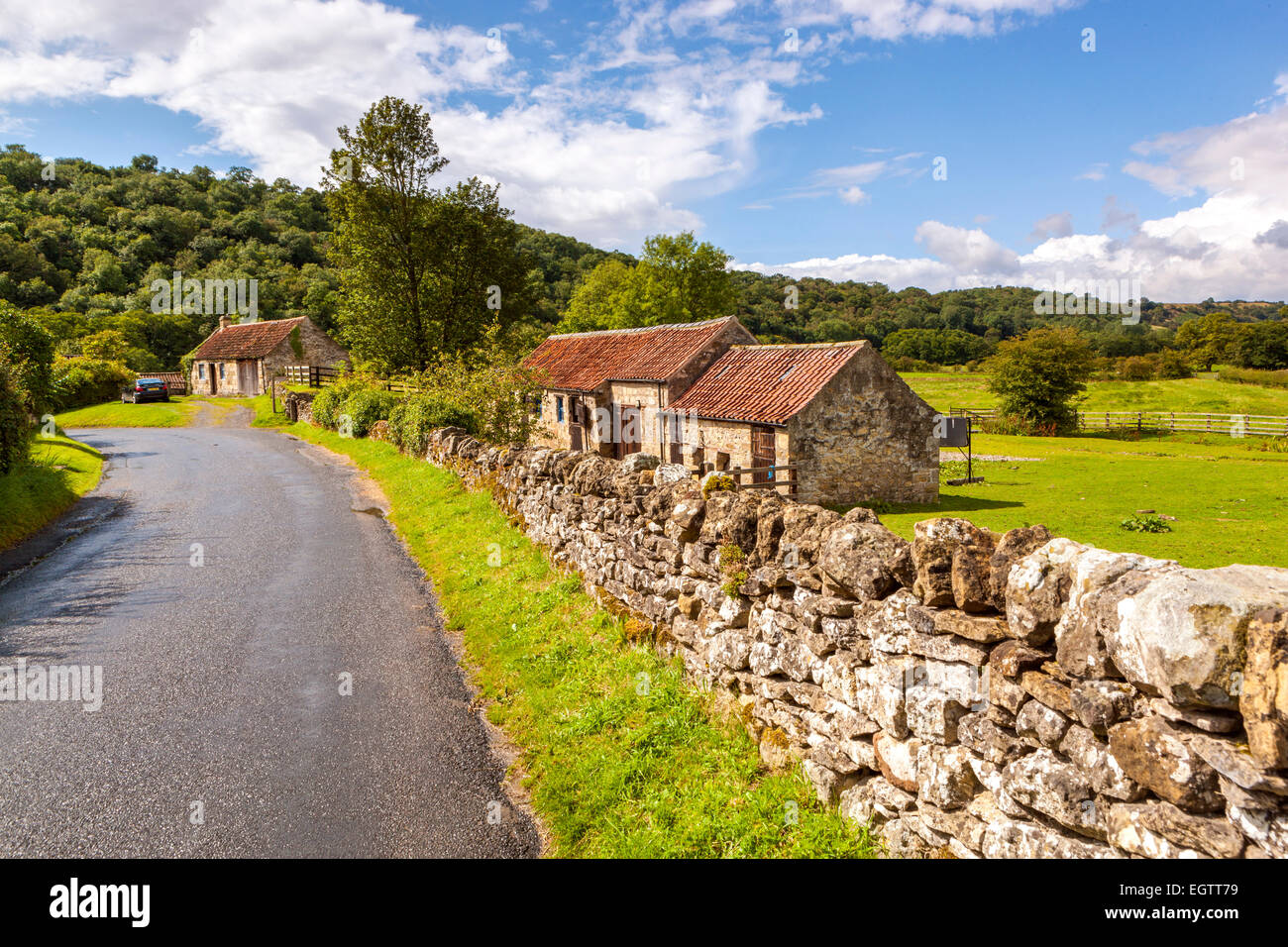 Rievaulx, North Yorkshire, Angleterre, Royaume-Uni, Europe. Banque D'Images