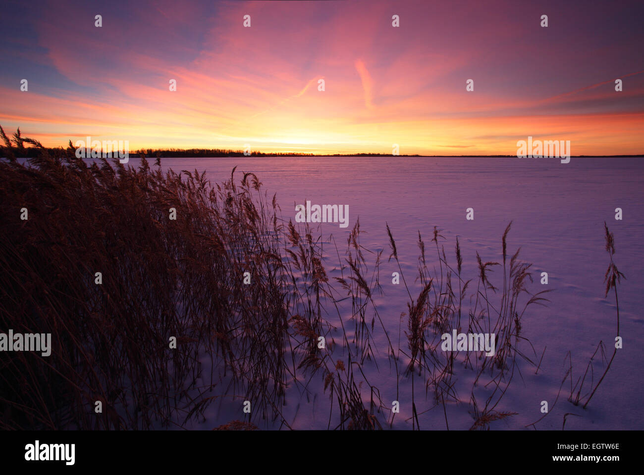 Le lac gelé et frosty Saadjärv en hiver, au coucher du soleil Paysage Vooremaa réserver, de l'Estonie. Banque D'Images