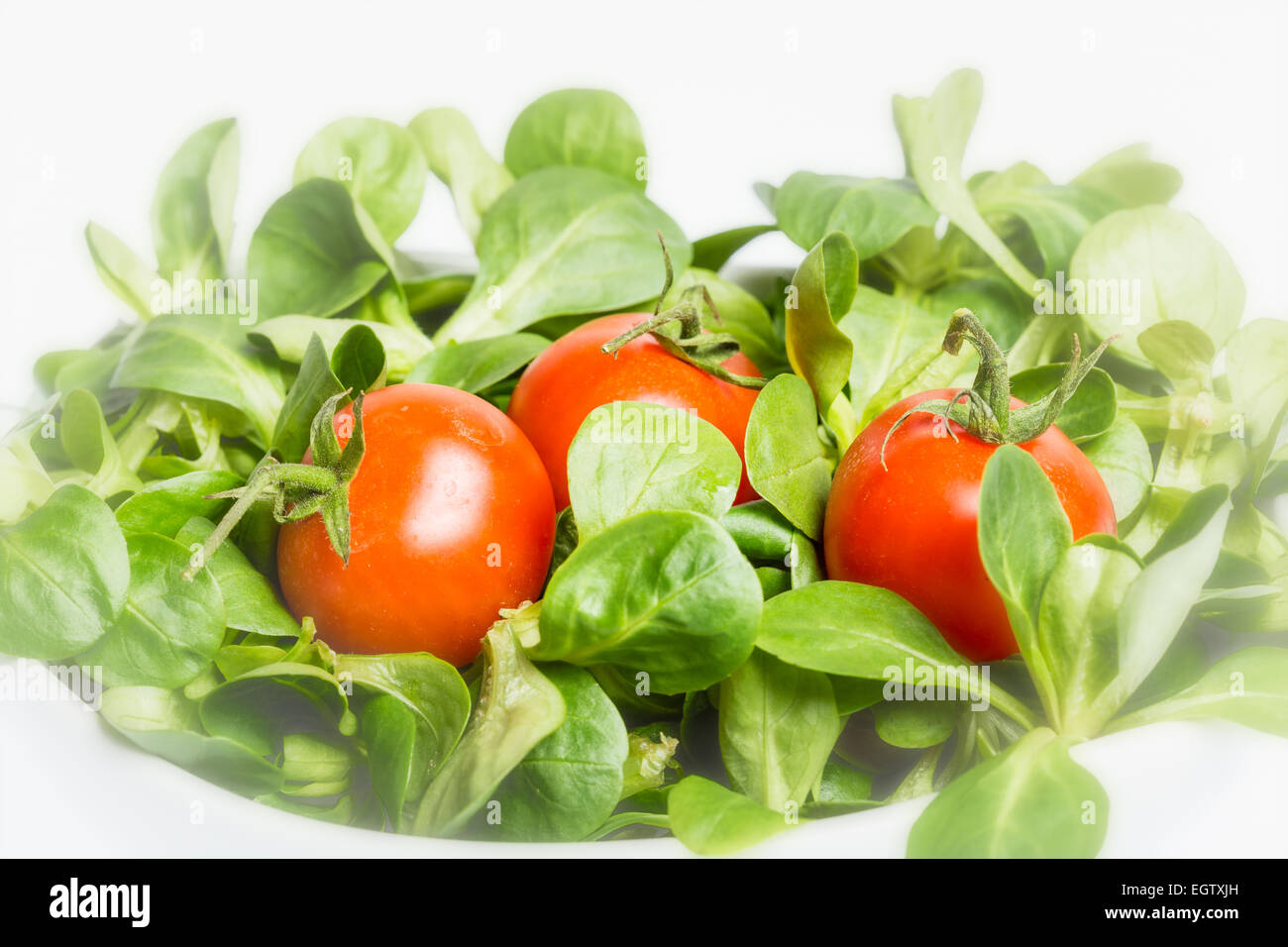 Valerianella locusta, salade de maïs, tomate cerise, mâche sur fond blanc Banque D'Images