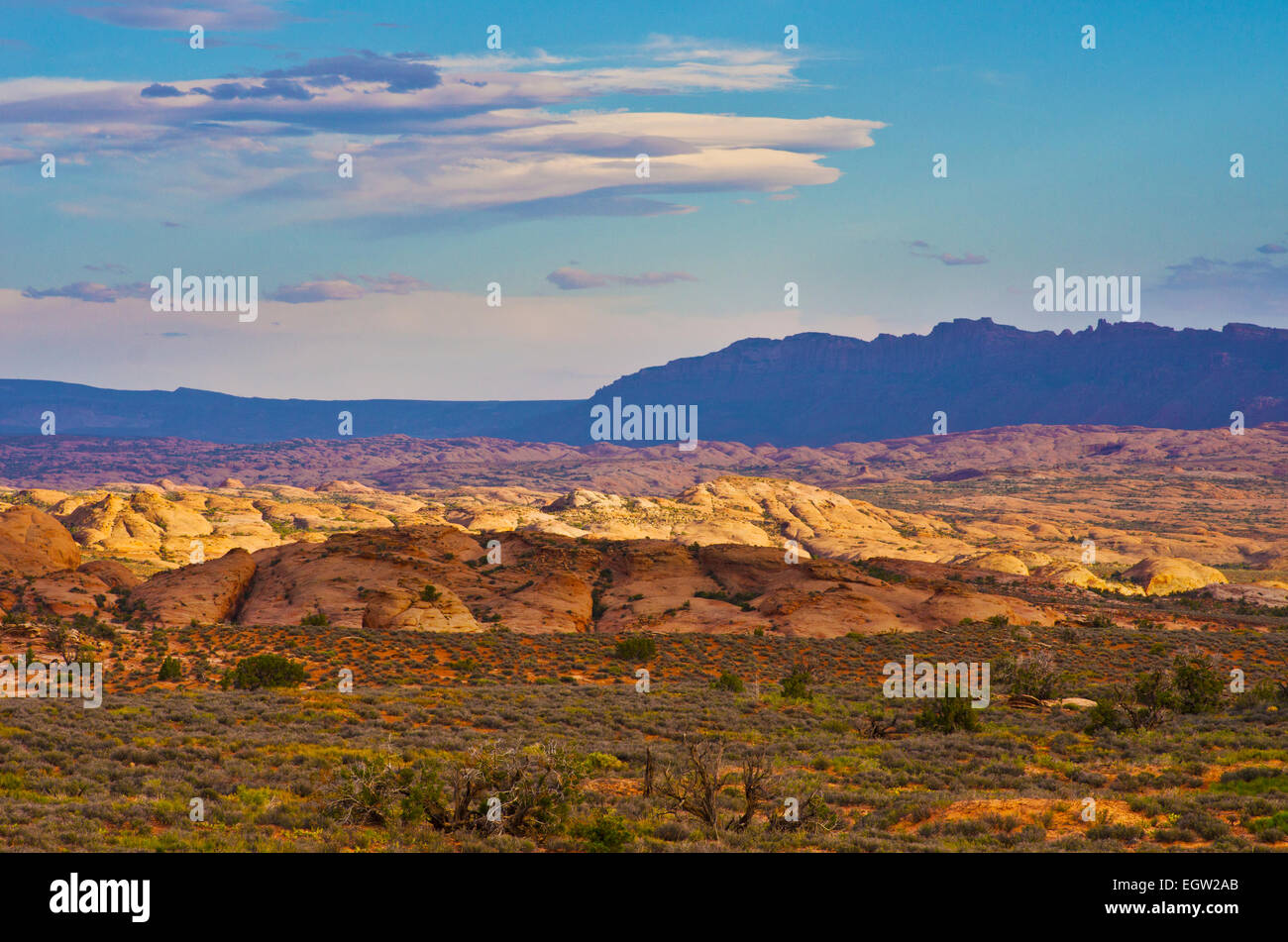 Dunes pétrifiées, dans Arches National Park, dans la lumière du matin, Utah, United States. Banque D'Images