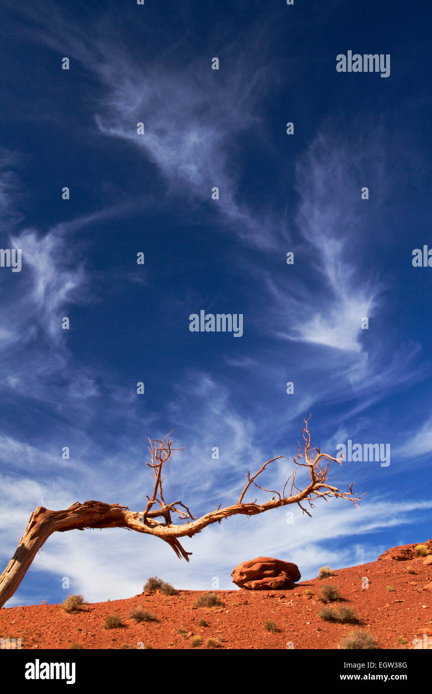 Scène désertique abstraite avec une branche d'arbre sèche, roche, ciel bleu et nuages wispy, Monument Valley, Utah Banque D'Images