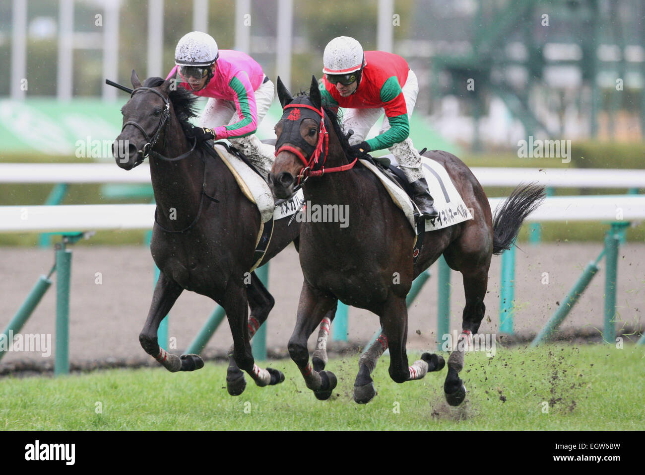 Hyogo Japon Mirco Demuro A Obtenu Sa Premiere Victoire Apres Avoir Recu La Pleine Terme Licence Jockey Jra 1er Mars 15 L R Omega Coeur Chanson Suguru Hamanaka Meiner Nebel Mirco Demuro