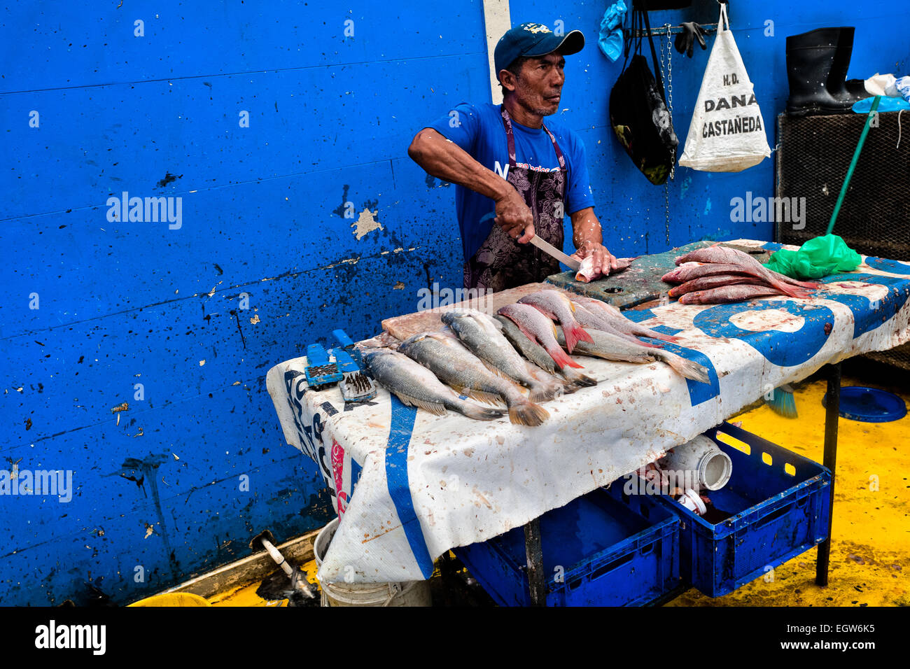 Un pêcheur panaméen nettoie les poissons à Mercado de Mariscos marché de poisson et de fruits de mer à Panama City, au Panama. Banque D'Images