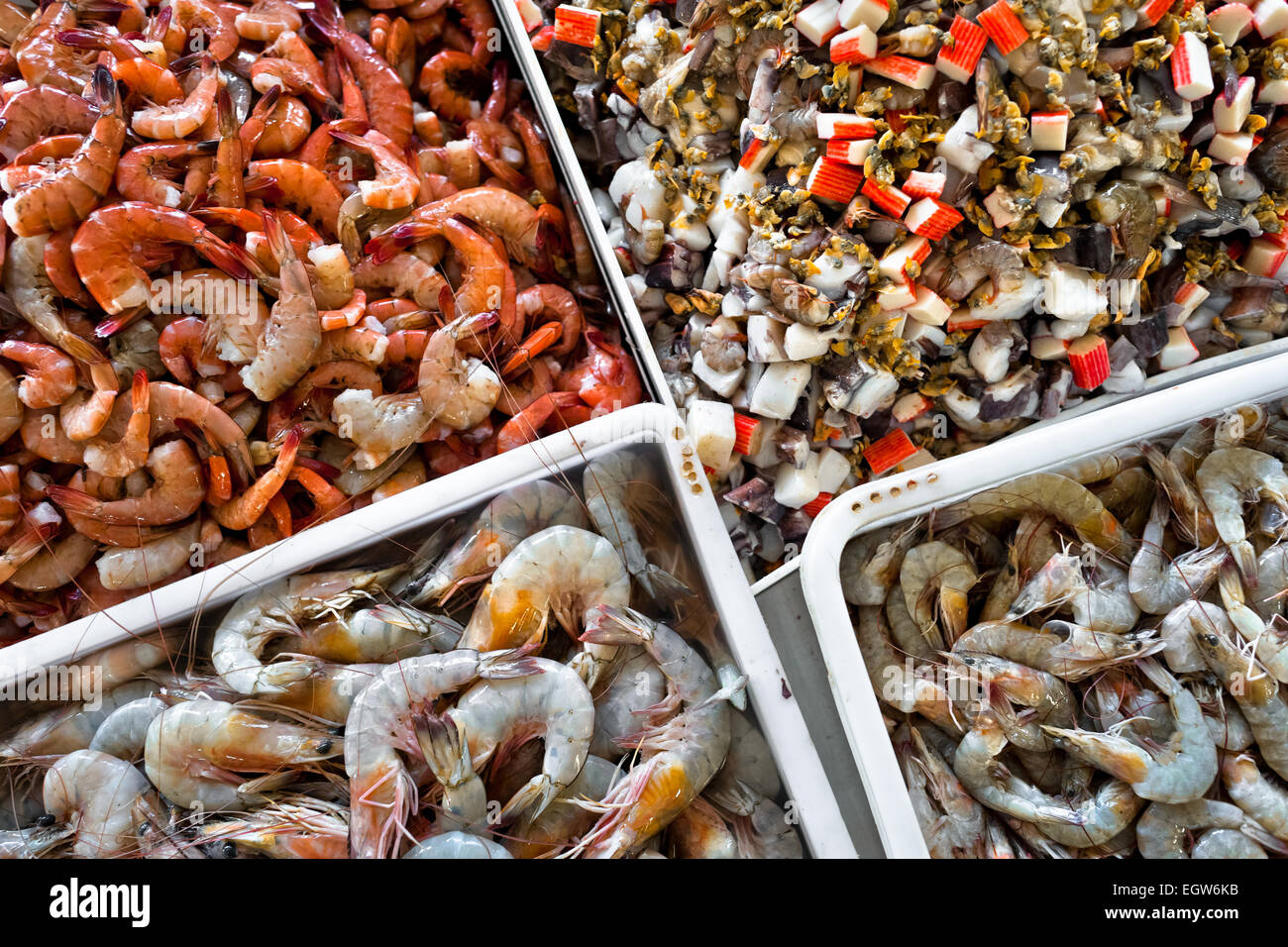 Grande variété de fruits de mer est vue à Mercado de Mariscos marché de poisson et de fruits de mer à Panama City, au Panama. Banque D'Images