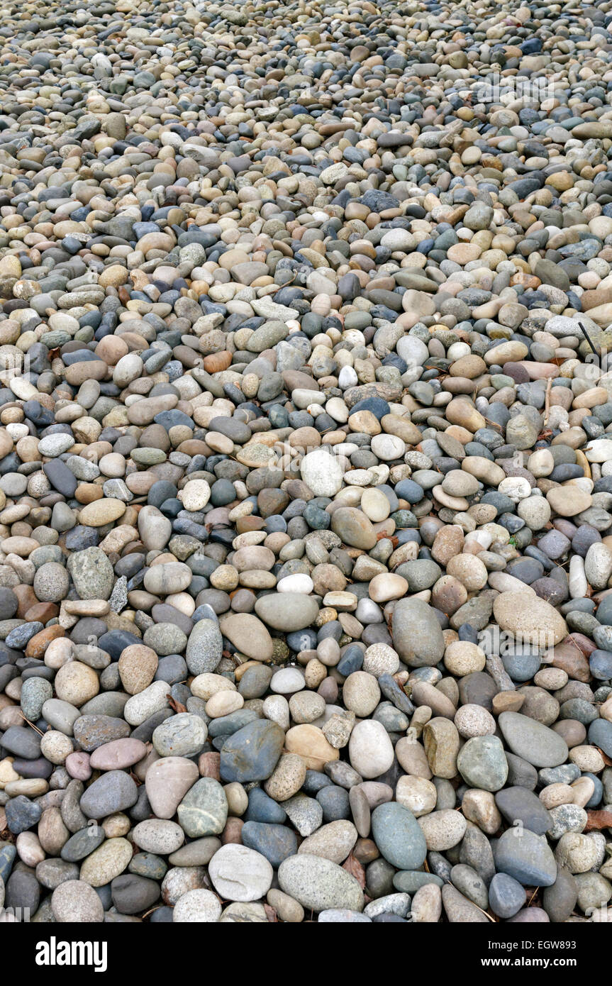Des milliers de pierres arrondies multicolores sur le sol Banque D'Images