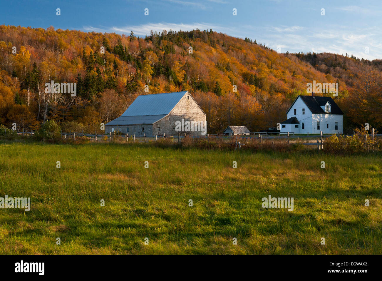 Scène d'automne à Margaree Valley, Nova Scotia, Canada Banque D'Images
