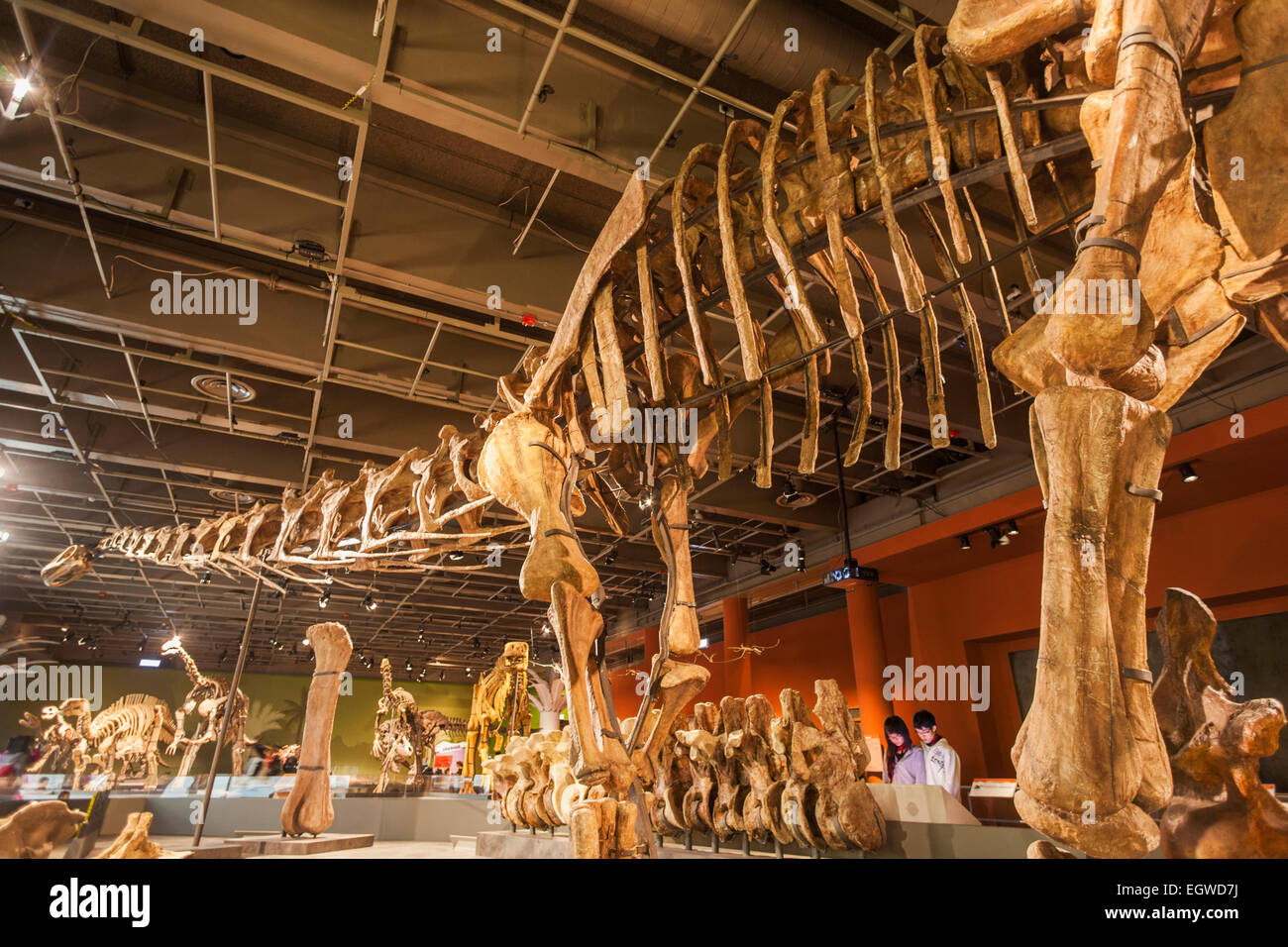 La Chine, de l'Daxiatitan Binglingi squelette Banque D'Images