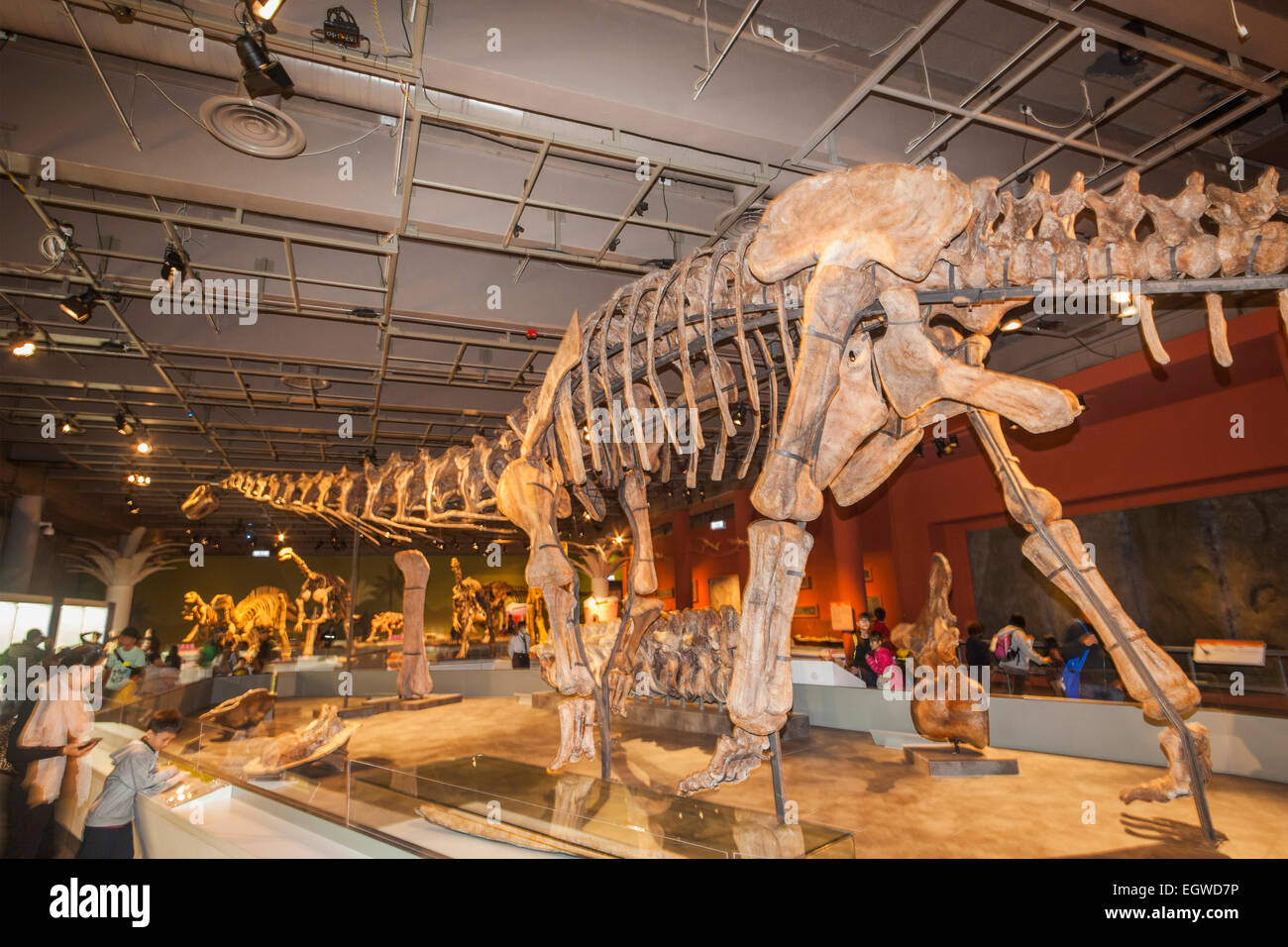 La Chine, de l'Daxiatitan Binglingi squelette Banque D'Images