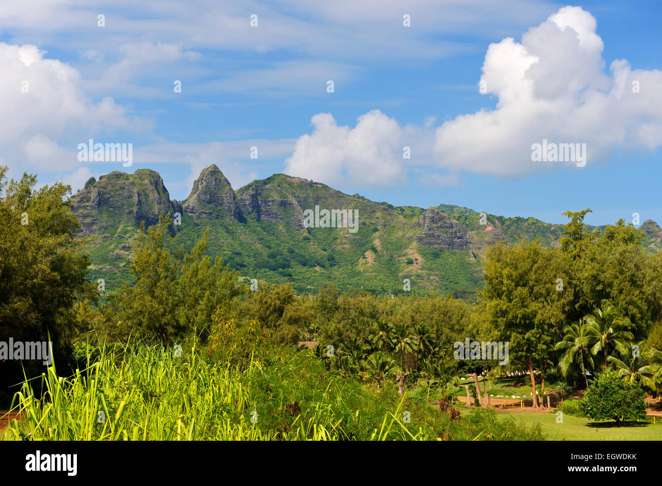 Kalalea (montagnes Gamme Anahola) dans l'Est de Kauai, Hawaii, USA Banque D'Images