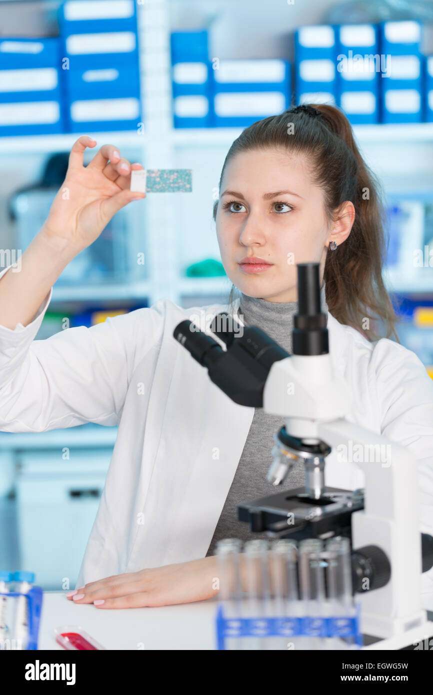 Femme de microscope études assistante de laboratoire Banque D'Images