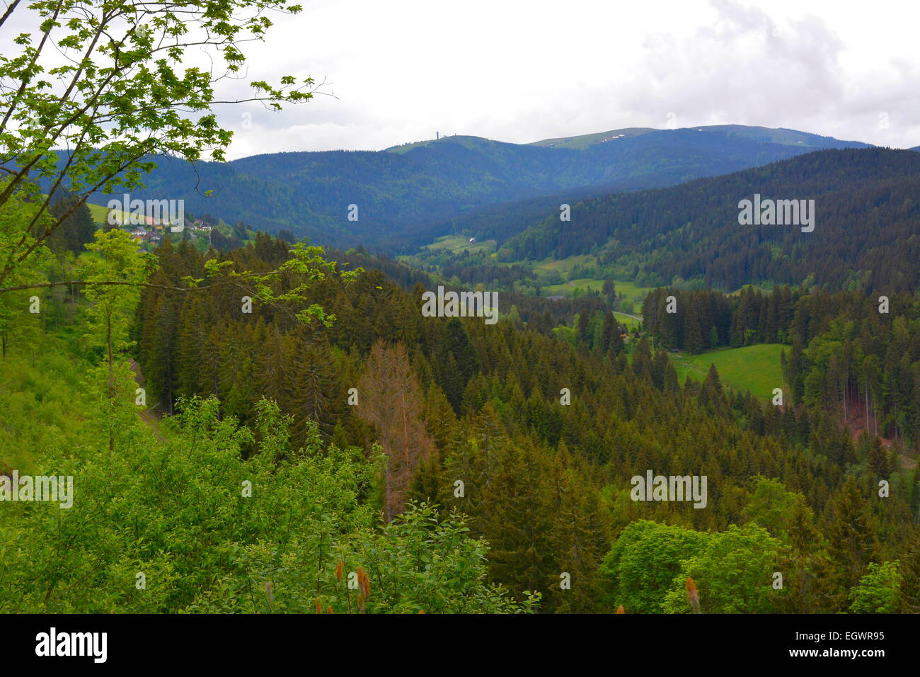 Schwarzwald, Bade-Wurtemberg, Hochschwarzwald, Banque D'Images