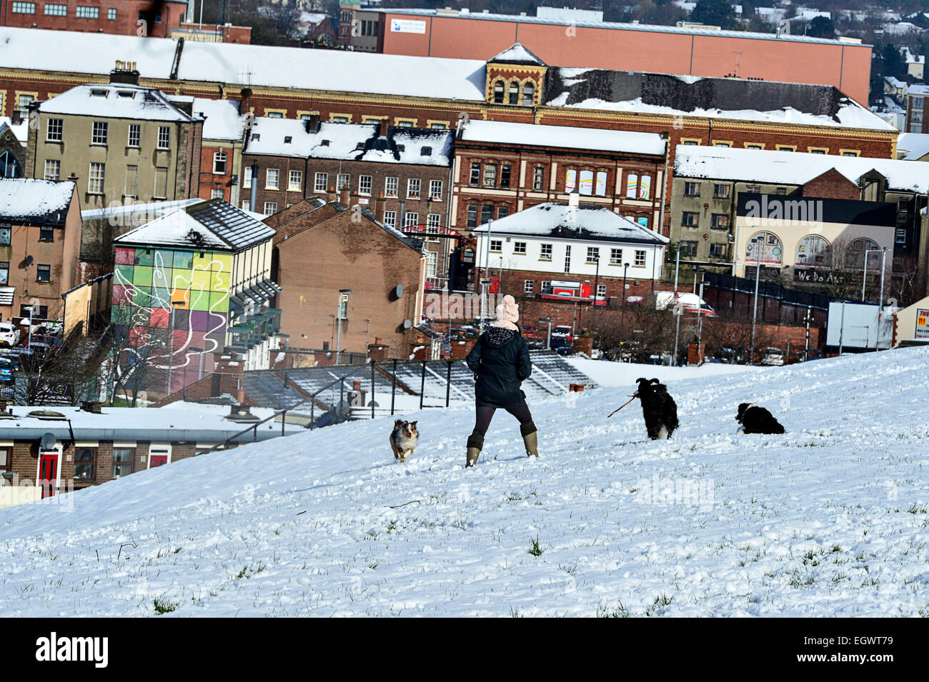 Météo France Neige à Londonderry, en Irlande du Nord - 03 mars 2015. Femme marche sur le champ couvert de neige les chiens à Londonderry. Crédit : George Sweeney/Alamy Live News Banque D'Images