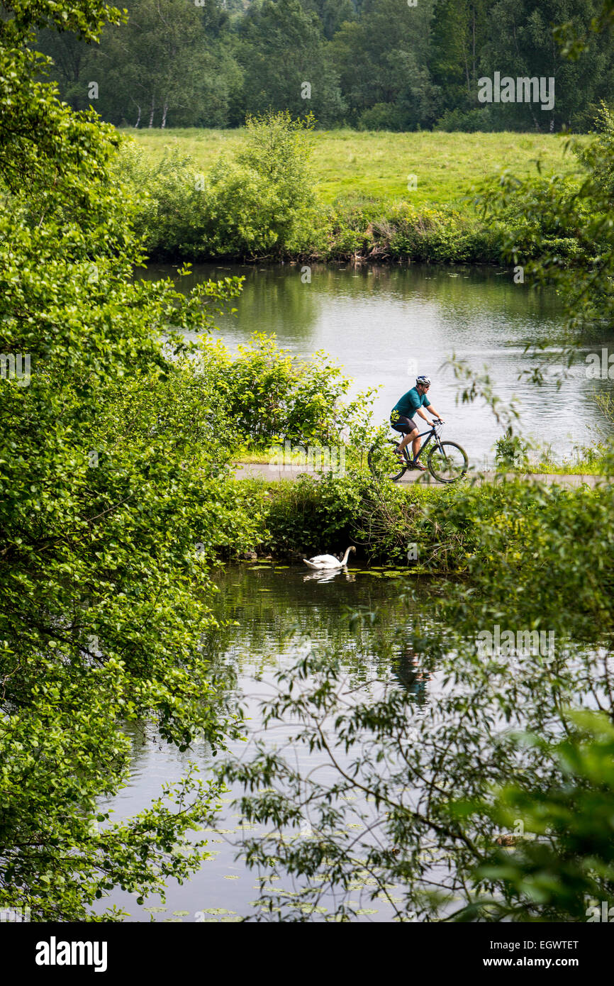 Cycliste le long de la 'Ruhrtalradweg' piste cyclable de la vallée de la Ruhr, de la rivière au printemps dans la zone 'Sauerland", à l'estuaire 230 k Banque D'Images