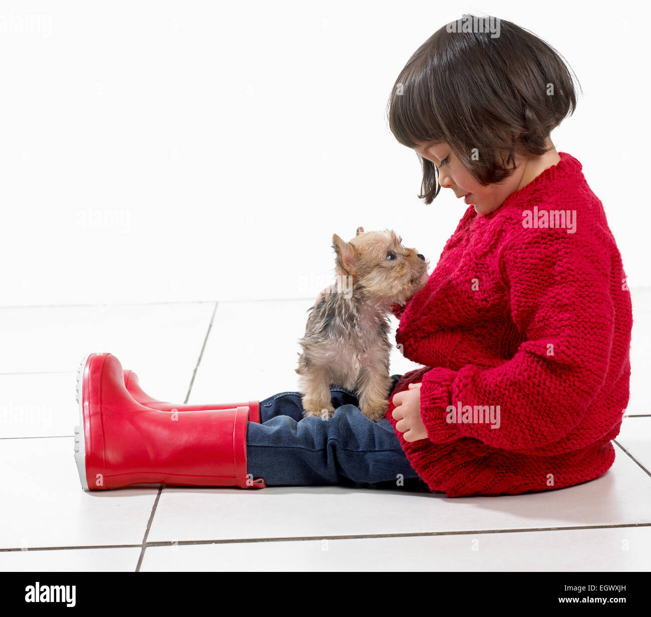 Jeune fille assise avec un chiot sur ses genoux, 2 ans Banque D'Images
