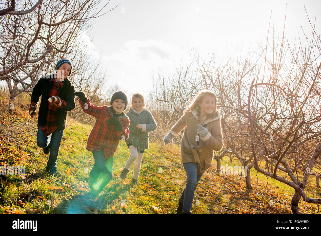 Quatre enfants courir à l'extérieur en hiver Banque D'Images