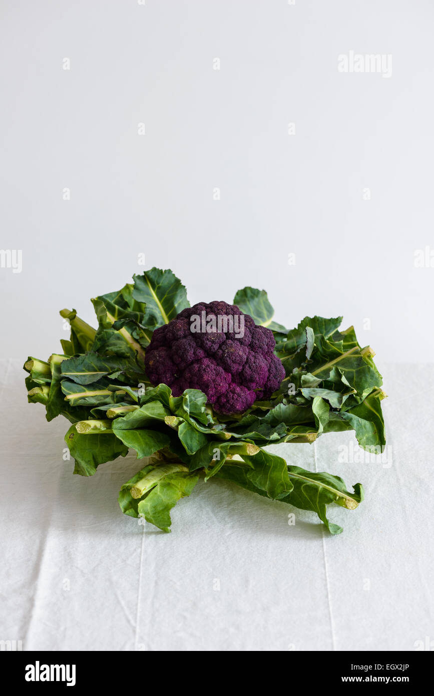 Radis salade de matières premières, le brocoli et le chou Banque D'Images