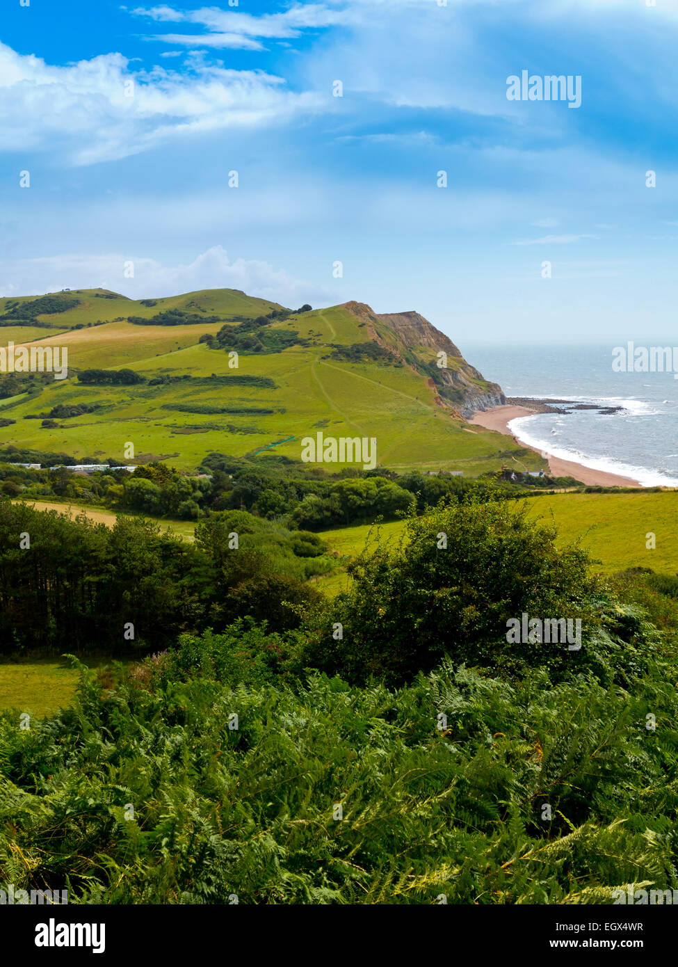 Voir en été de Golden Cap vers Seatown et les spectaculaires falaises de grès de la côte jurassique dans West Dorset England UK Banque D'Images