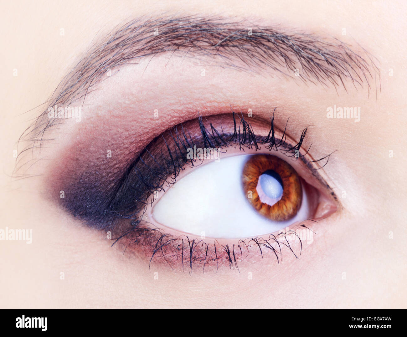 Image de l'œil humain, l'iris brun, Close up Banque D'Images