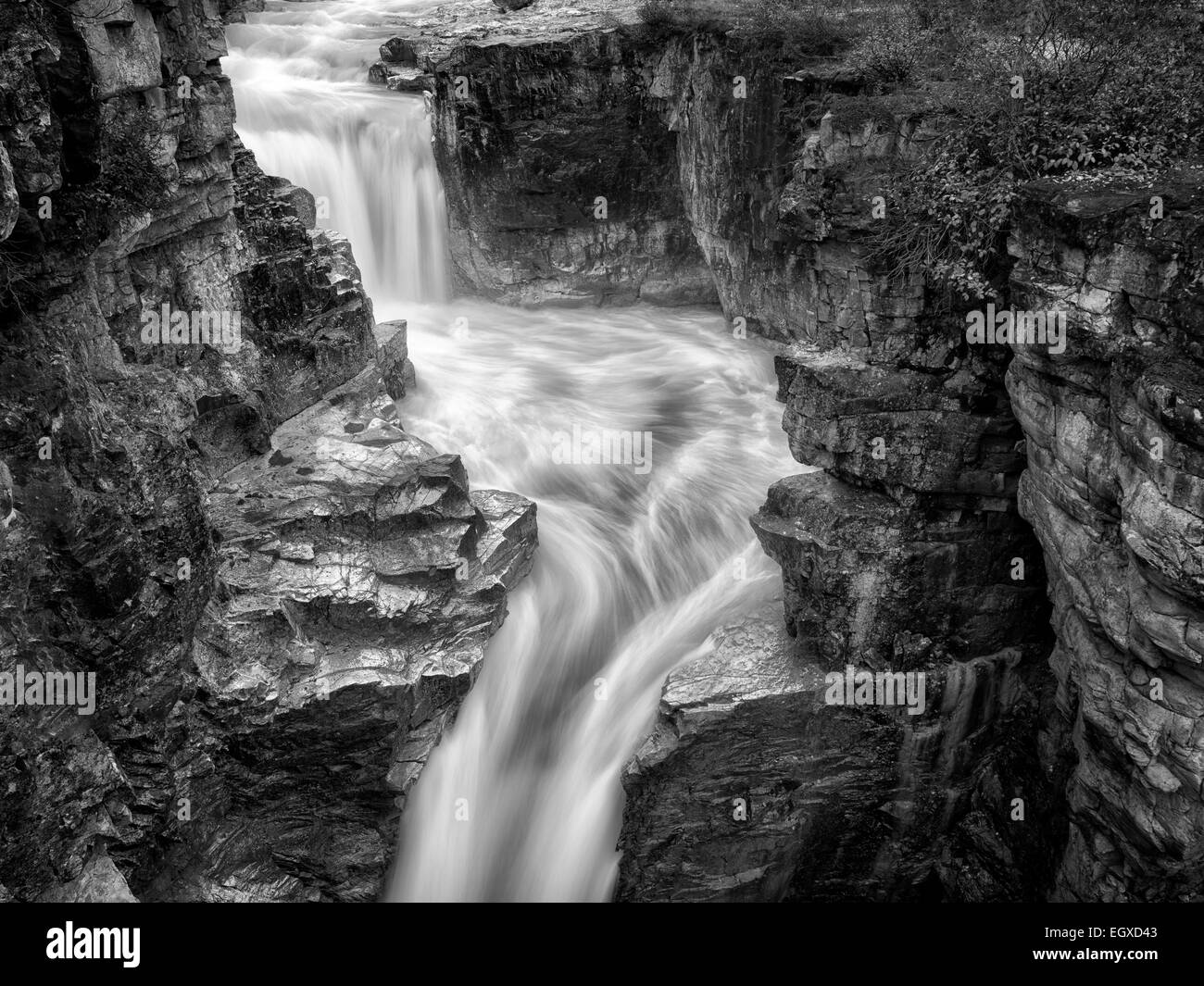 Les chutes du ruisseau Tokumm, Marble Canyon. Kooteny National Park, Canada Banque D'Images