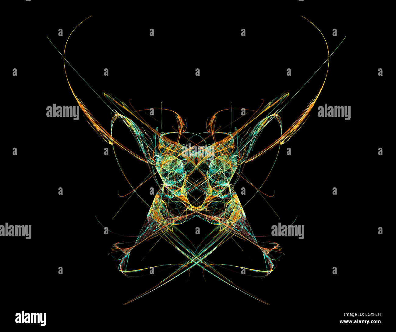 Chien chiwawa. Banque D'Images